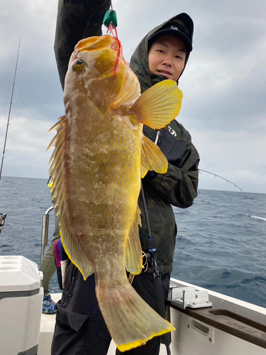 アオナの釣果