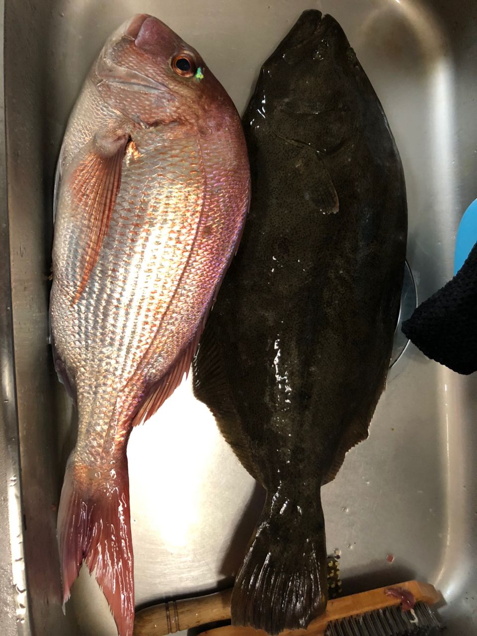 へなちょこ　釣り師さんの釣果 2枚目の画像