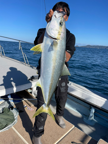 ヒラマサの釣果