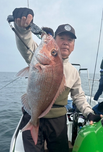 マダイの釣果