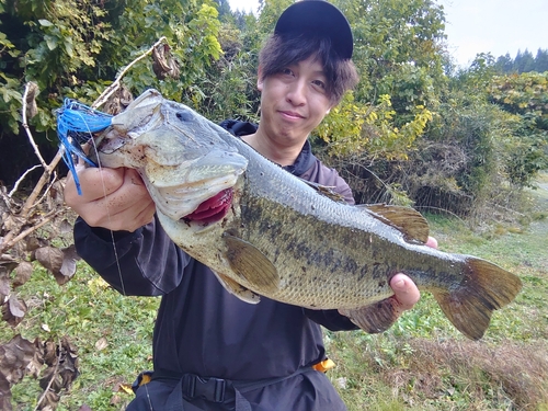 ラージマウスバスの釣果