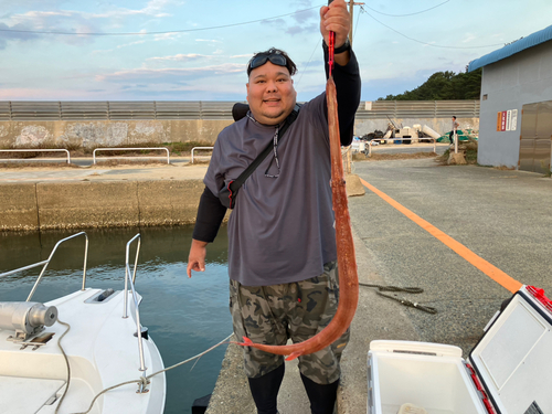 ヤガラの釣果