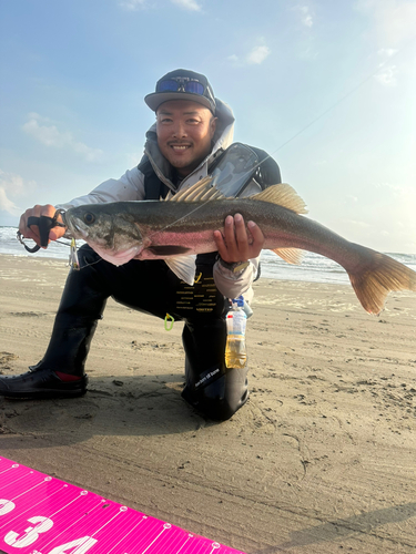 スズキの釣果