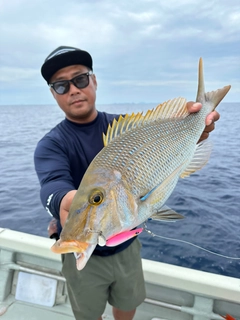 タマンの釣果