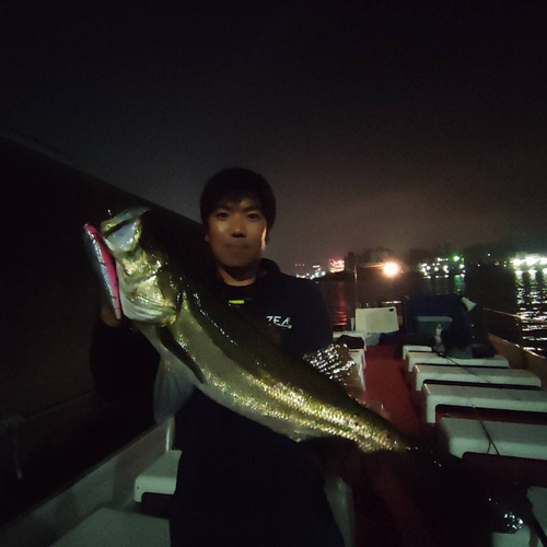 スズキの釣果