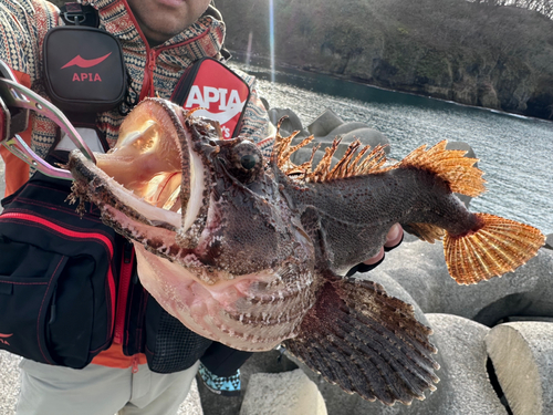 ケムシカジカの釣果