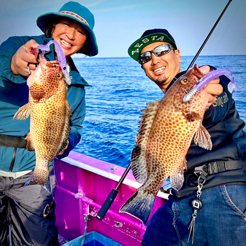 オオモンハタの釣果