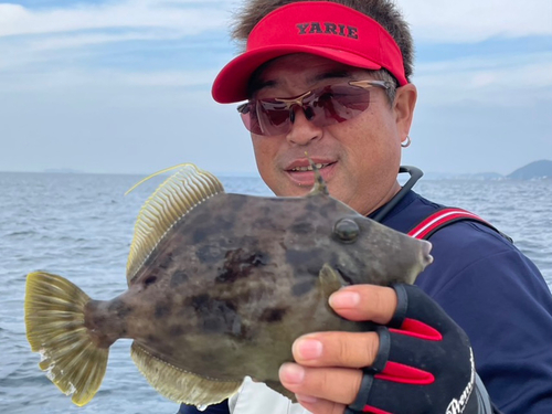 カワハギの釣果