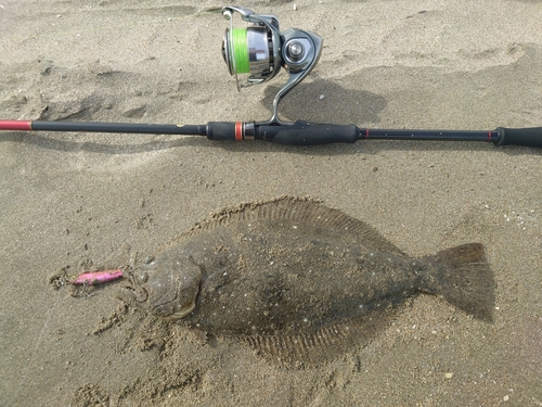 ソゲの釣果