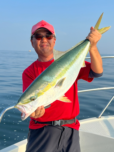 ブリの釣果