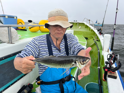 マアジの釣果