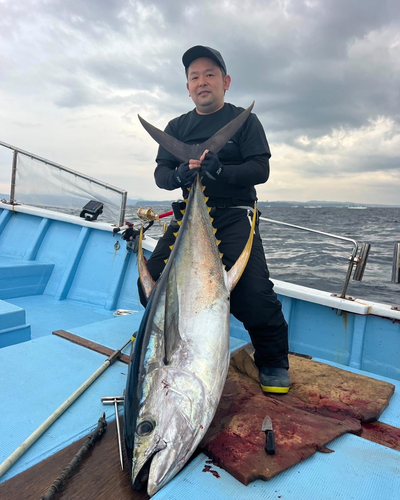 キハダマグロの釣果