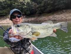 ブラックバスの釣果