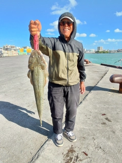 ミナミマゴチの釣果