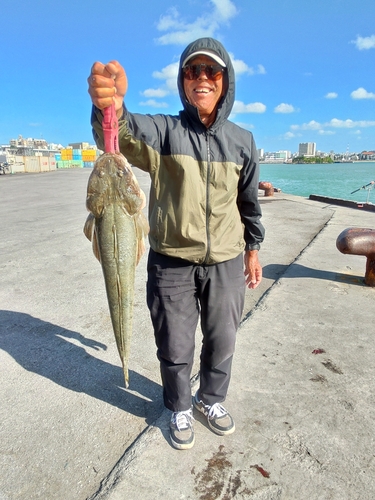 ミナミマゴチの釣果