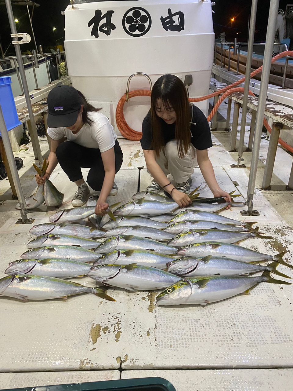 ユキちゃんさんの釣果 2枚目の画像