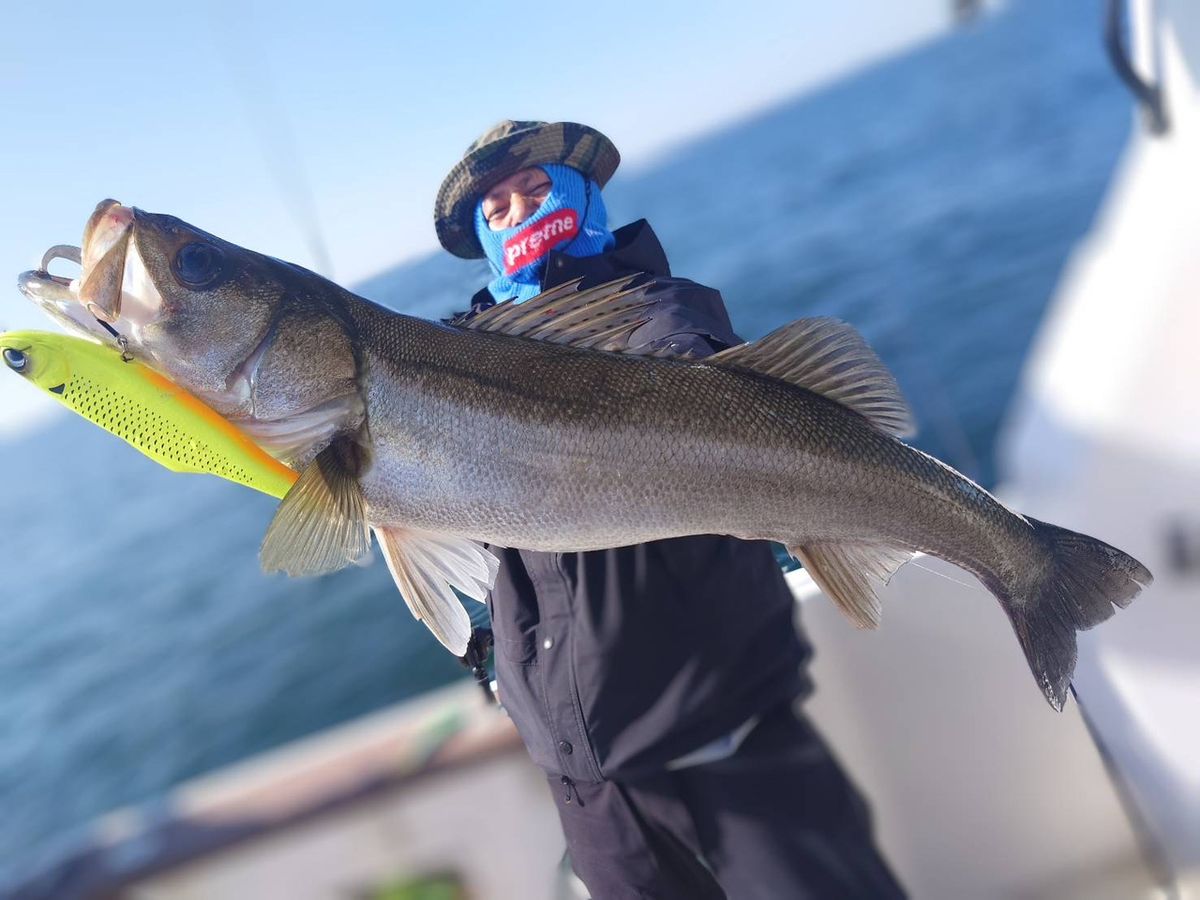 こんけんさんの釣果 2枚目の画像