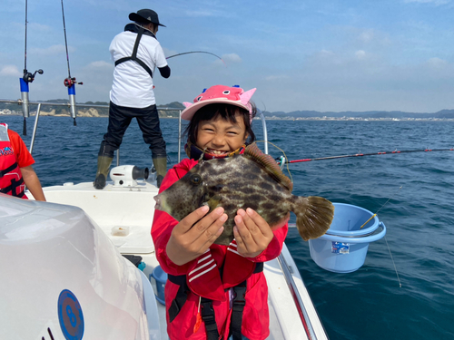 カワハギの釣果