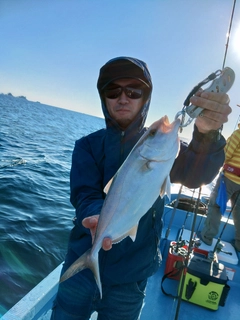 シオの釣果