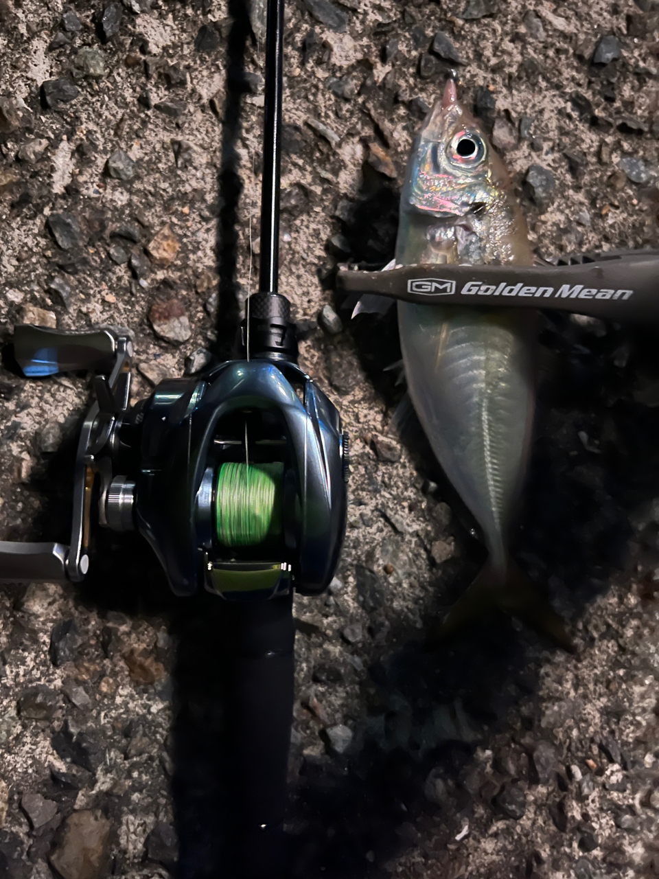 AbuGarcia ソルティーステージ プロトタイプ ベイトフィネス XAJC ...