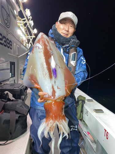 ソデイカの釣果