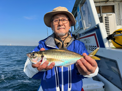 マアジの釣果