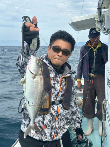 ショゴの釣果