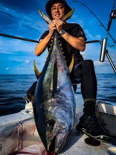 キハダマグロの釣果