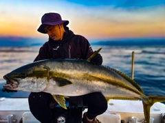 ヒラマサの釣果