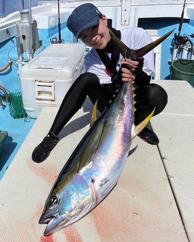 キハダマグロの釣果