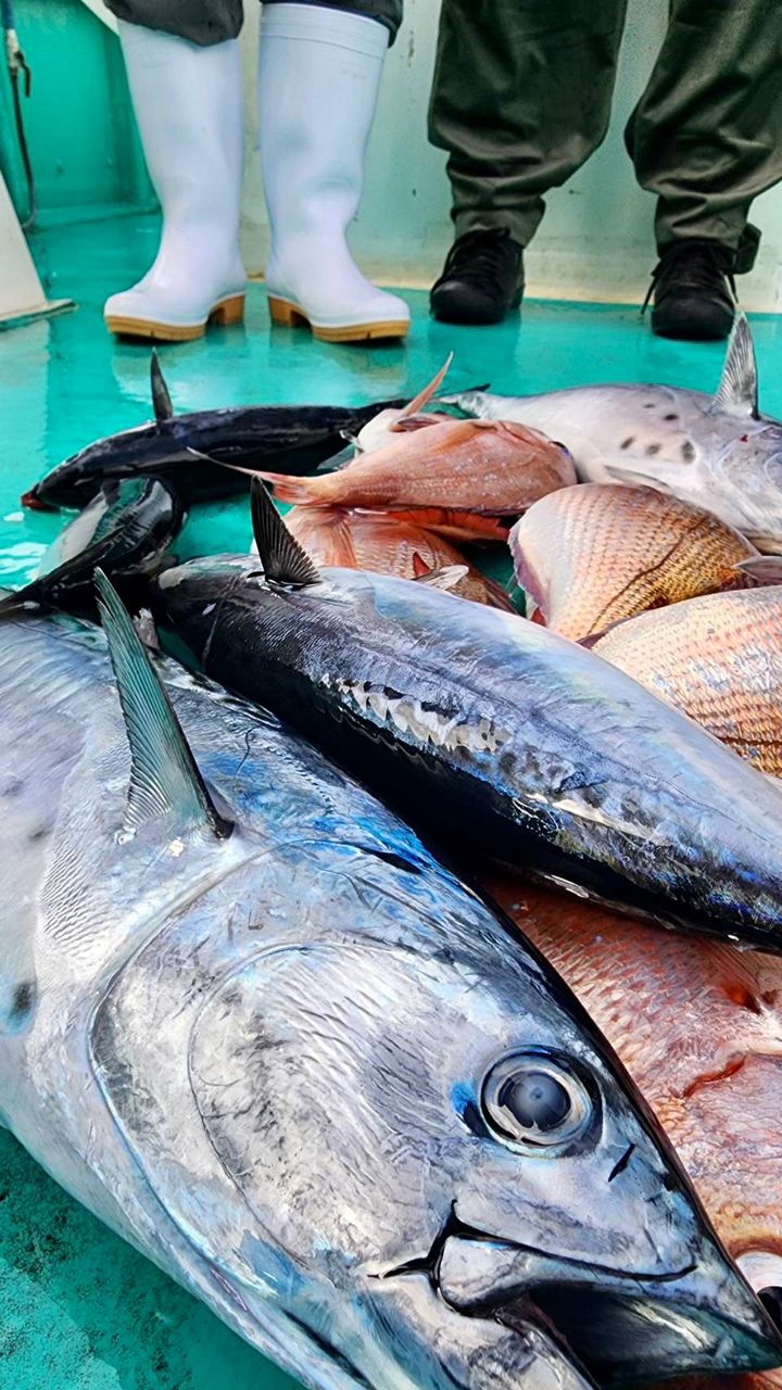 わじゅけんさんの釣果 3枚目の画像