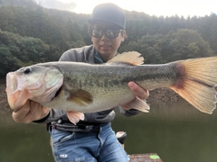 ブラックバスの釣果