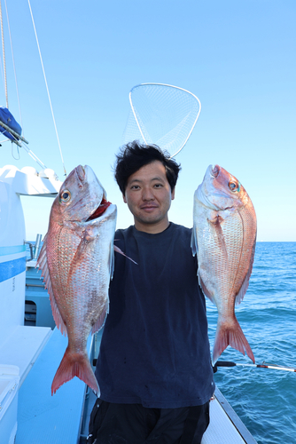 マダイの釣果