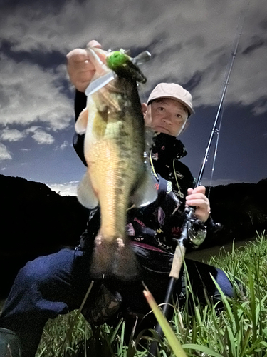 ブラックバスの釣果