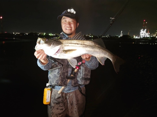 スズキの釣果