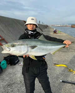 ブリの釣果