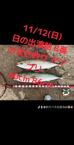 ブリの釣果