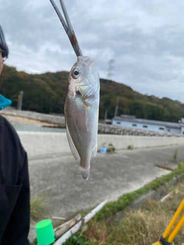 釣果