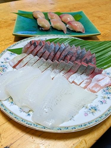 ツバスの釣果