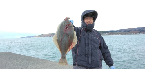 イシモチの釣果