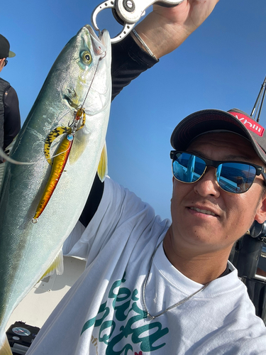 イナダの釣果