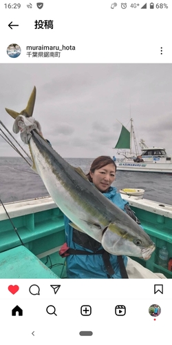 ブリの釣果