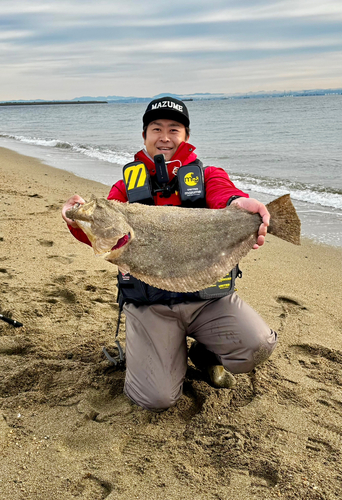 ヒラメの釣果