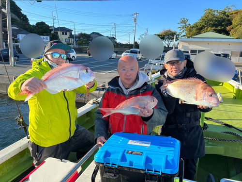 マダイの釣果