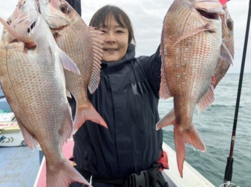 マダイの釣果