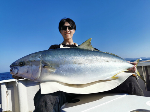 ヒラマサの釣果