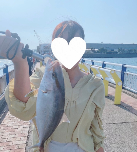 ネリゴの釣果