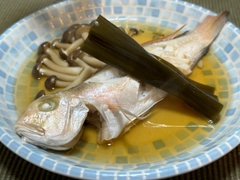 アマダイの釣果