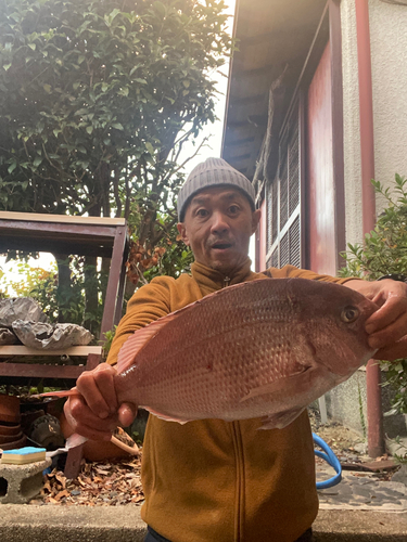 タイの釣果