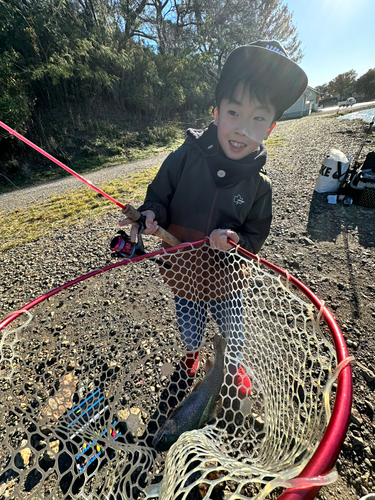 ニジマスの釣果